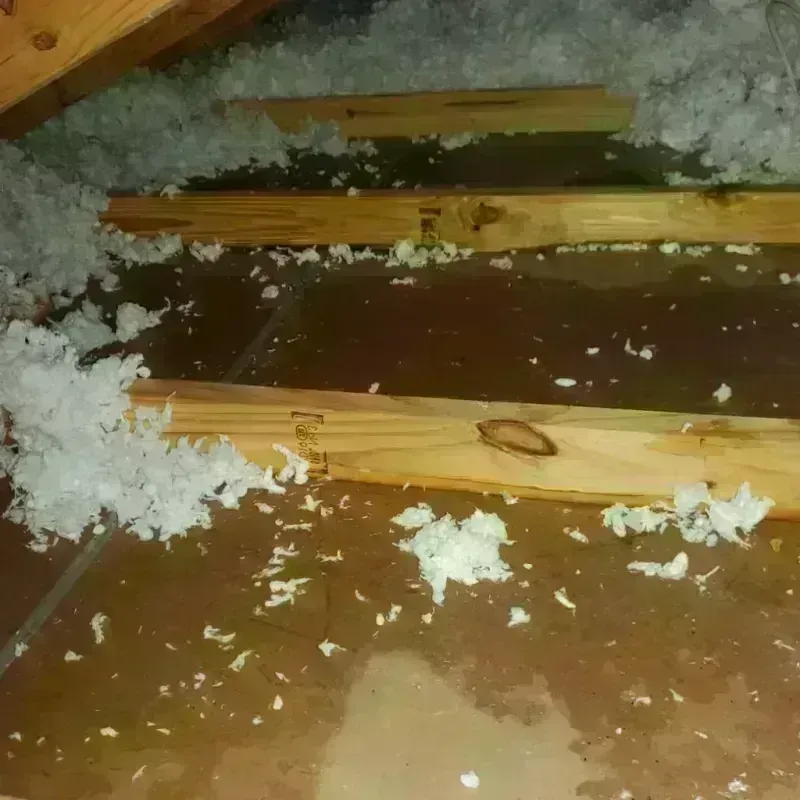 Attic Water Damage in Edgewood, NM